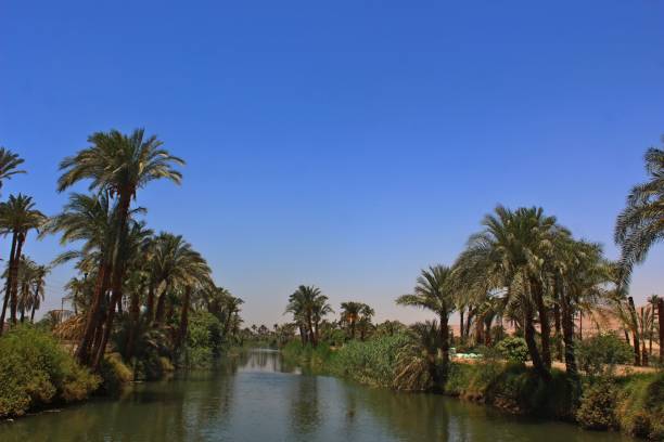 istock Calm river surrounded by trees and palms with reflection on water in a small village in Egypt 1250931576