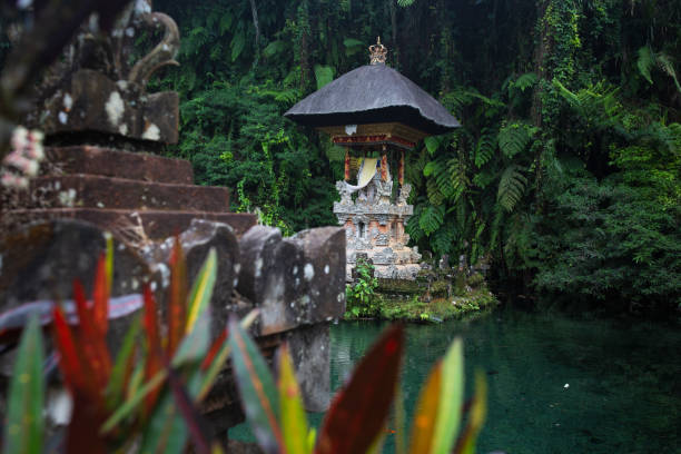 istock | Mountain Kawi Sebatu 1250931980