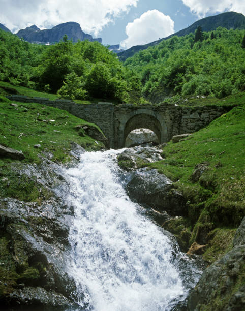 istock River with Stone Bridge in Pyrenees Park in France 1250932703