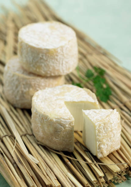 istock French Cheese called Crottin de Chevre, a Goat Cheese 1250932914