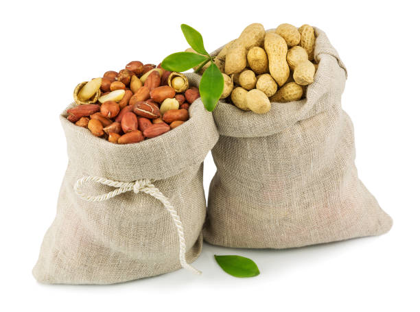 Macro view of purified and raw peanut in flax sacks and green leaves isolated on white background
