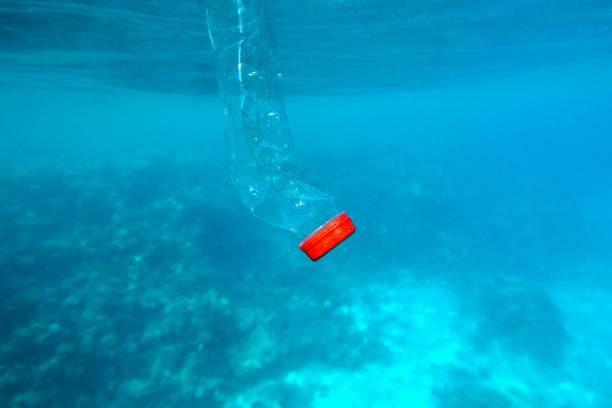 istock Plastic bottle floating in the blue sea water. World ocean contaminated by  plastic. Environment pollution concept. 1250933125
