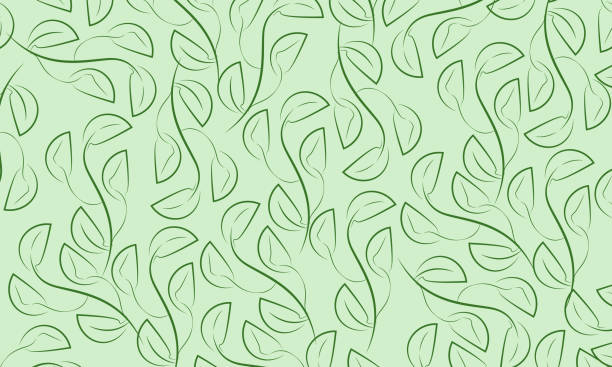 органический кудрявый бесшовный узор виноградной лозы - foliate pattern stock illustrations