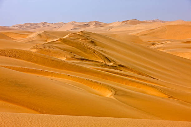 istock Sand Dunes, Desert near Walvis Bay, Namibia 1250934809