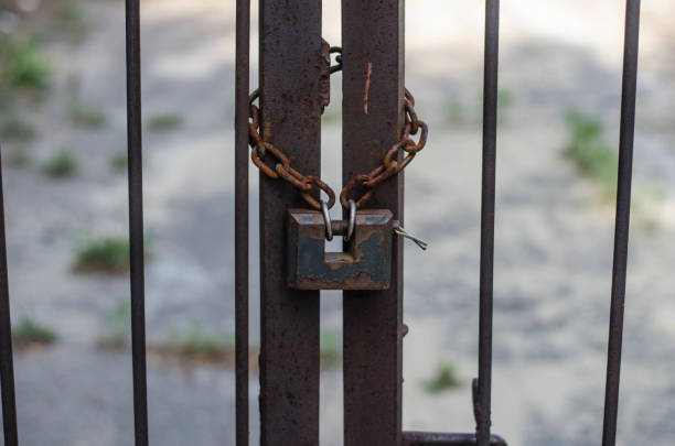 istock Padlock. The iron chain. Metal gate. 1250936117