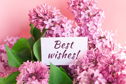inscription best wishes on a white gift card in a beautiful bouquet of lilac flowers