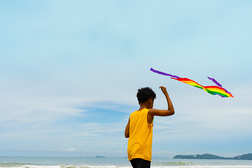 Young boy plays kite on the beach with happy mood. summer and vacation concept. Half of body composition.