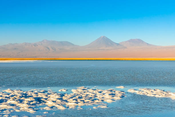 istock Cejar lagoon and Licancabur volcano in Atacama, Chile. 1250942976