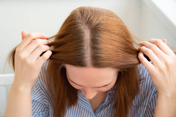 女性は、巻き直された髪の根を示しています。長い染めた髪、自然な色を育てる。灰色。 - root hair ストックフォトと画像
