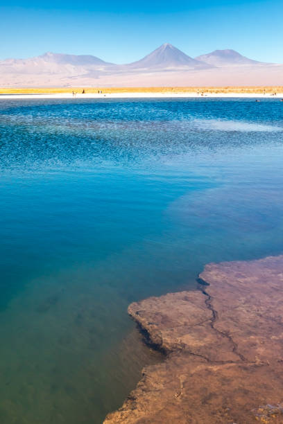 istock Cejar lagoon and Licancabur volcano in Atacama, Chile. 1250944124