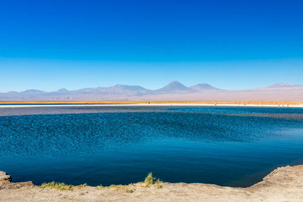 istock Cejar lagoon and Licancabur volcano in Atacama, Chile. 1250945986