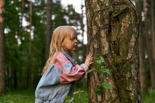 istock little girl with interest explores a tree trunk outdoors
