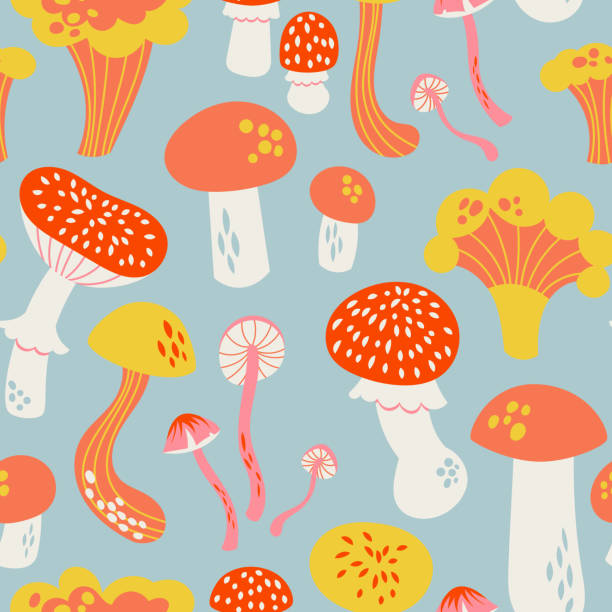 ilustraciones, imágenes clip art, dibujos animados e iconos de stock de patrón vectorial sin costuras - edible mushroom illustrations