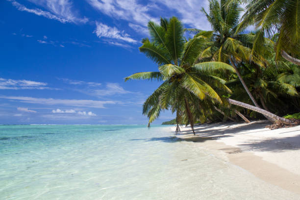 istock Beautiful beach in Sainte Marie island, Madagascar 1250948155