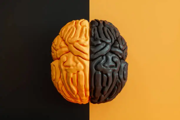 Photo of Black and Yellow Brain on Black and Yellow Background.