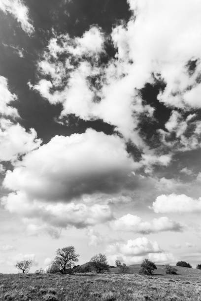 istock Big deep sky with clouds above some trees and plants on a hill in Summer 1250954775