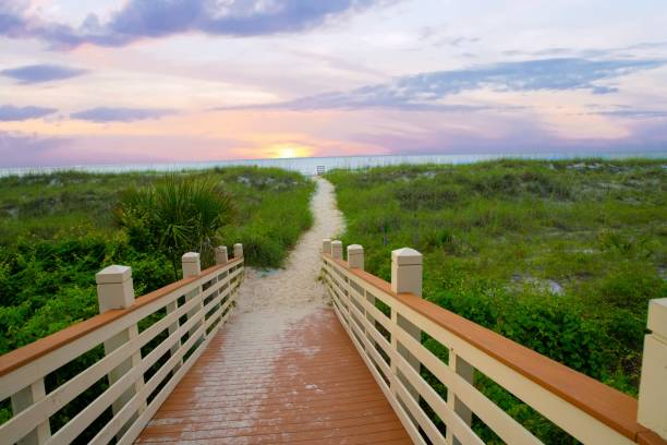 istock Pathway to the Beach-Hilton Head Island,SC 1250962141