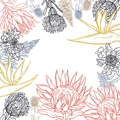 Hand drawn African flowers. Vector  background. Sketch illustration.