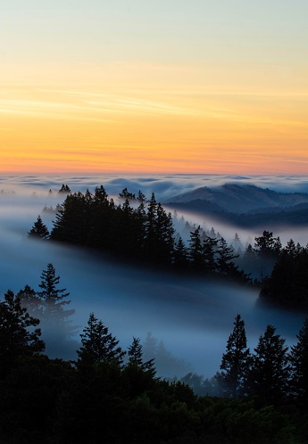 The beautiful nature view Marin County, California