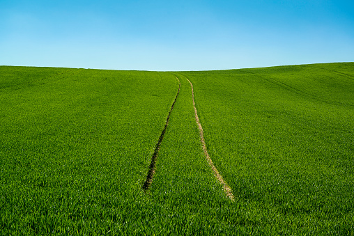 Germany, Bavaria, Hilly grass landscape with blue sky in the background with copy space