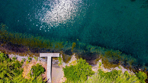istock Aerial view of a small lakeside pier surrounded by a thick vegeration 1250967520
