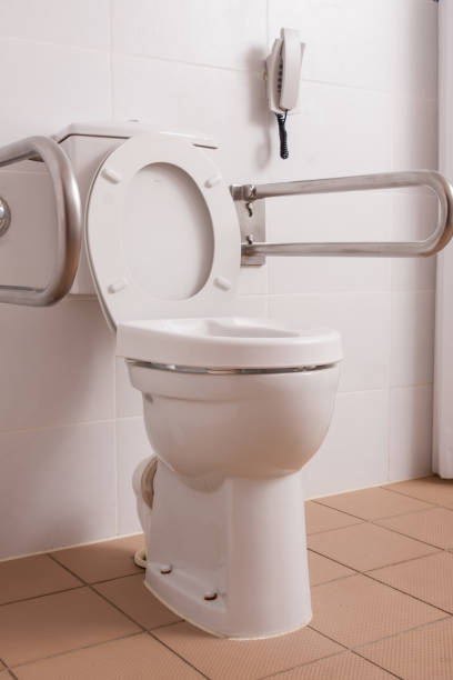 istock toilet for people with disabilities 1250968950