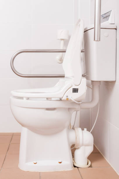 istock toilet for people with disabilities 1250969054