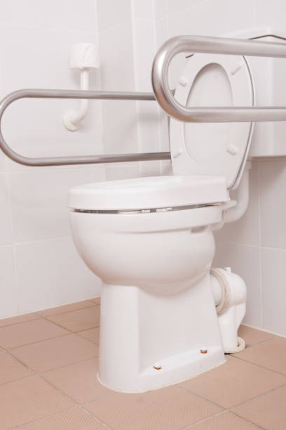 istock toilet for people with disabilities 1250970328