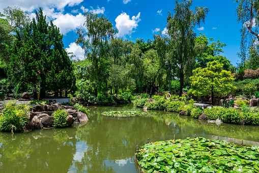 Pond and Water Landscape in Japanese Garden