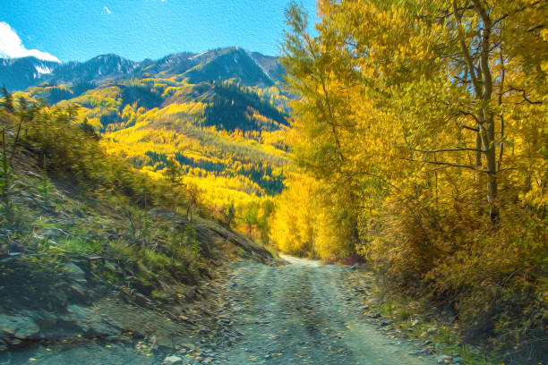 jesienna scena ze złotymi osikami - rocky mountains colorado autumn rural scene zdjęcia i obrazy z banku zdjęć