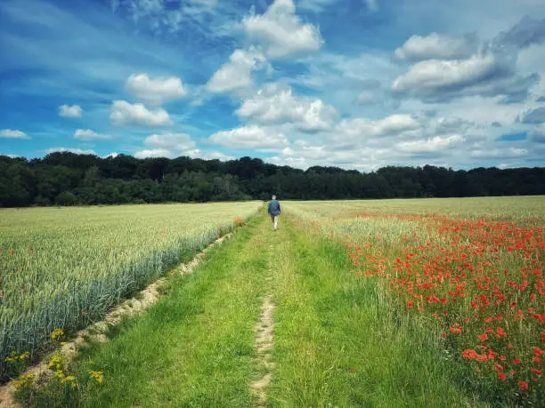 Photo of Man walking through the agricultural field