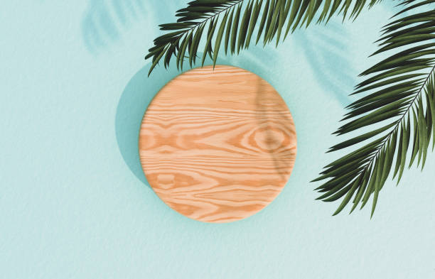 Natural Empty wood cylinder box with tropical palm leaves. for product display.