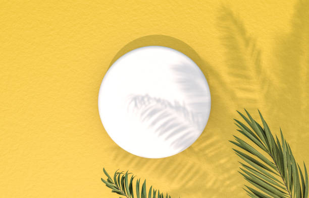 Natural Empty white cylinder box on yellow concrete floor background with tropical palm leaves. for product display.