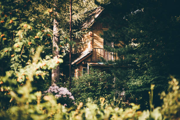 istock A wooden summer house in the forest 1250979201
