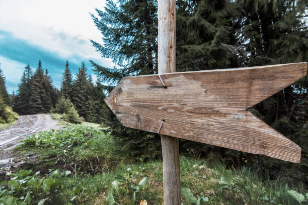 old wooden signpost rustic wooden track pointer against blue sky. blank sign boards in naturerustic wooden track pointer against blue sky. - outdoor pursuit fotos imagens e fotografias de stock