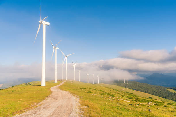 istock a scene of a path to the windmills 1250986017