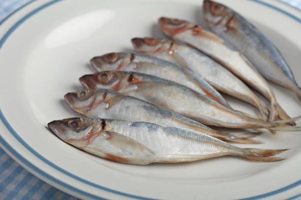 istock Chicharros, raw horse mackerel closeup 1250986053