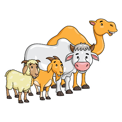 Camel Cow Goat And Sheep Cartoon Stock Illustration - Download Image Now -  Camel, Cartoon, Animal - iStock