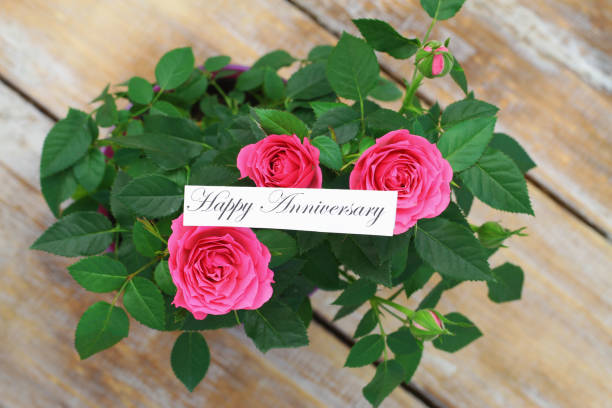 happy anniversary card with pink wild roses on wooden surface - note rose image saturated color imagens e fotografias de stock