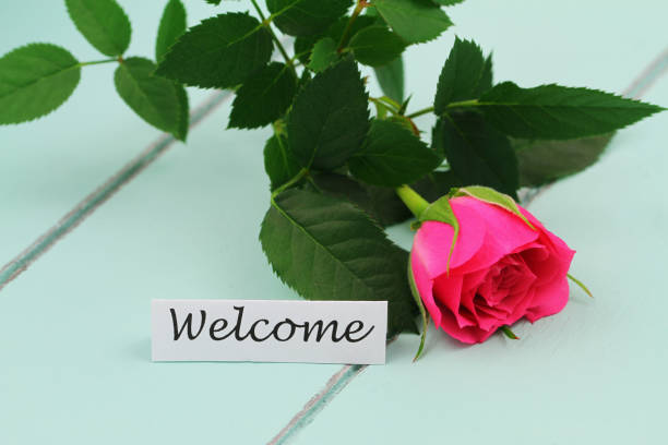 istock Welcome card with one pink wild rose on blue wooden surface 1250988953