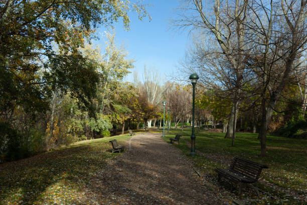 Ribera De Castilla Park in autumn, Valladolid, Spain