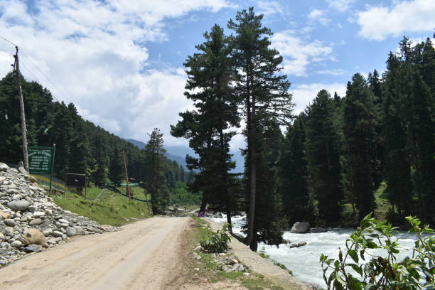 istock Beautiful view at Kashmir,India. 1250991880