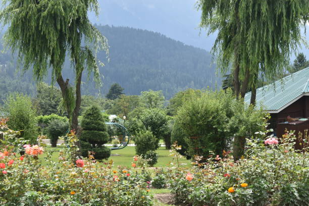 istock Beautiful view at Kashmir,India. 1250992033
