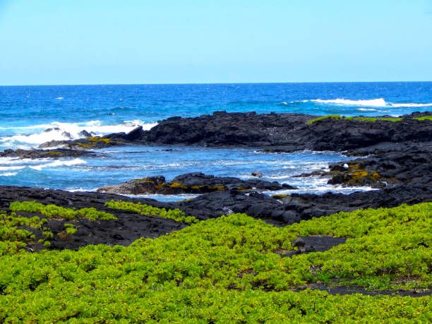 Coastline views from Waikoloa, a black sand beach, and Volcanoes National Park while traveling throughout the Big Island of Hawaii