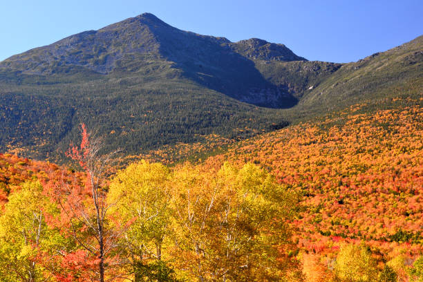 istock Mount Washington in Autumn 1250998069