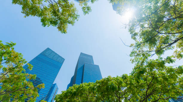 istock perspective exterior pattern blue glass wall modern buildings with green tree leaves 1250998119