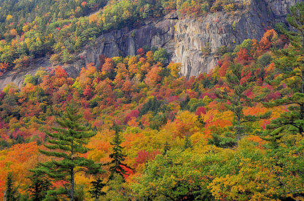 istock Cliff with autumn foliage 1250998120