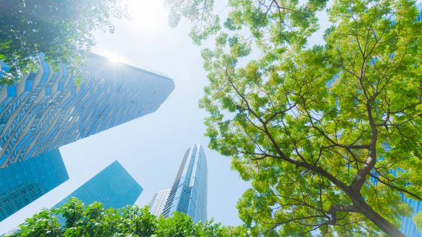 istock perspective exterior pattern blue glass wall modern buildings with green tree leaves 1250998131
