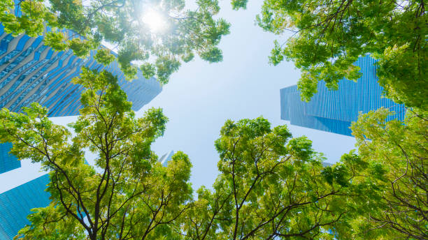 istock perspective exterior pattern blue glass wall modern buildings with green tree leaves 1250998149