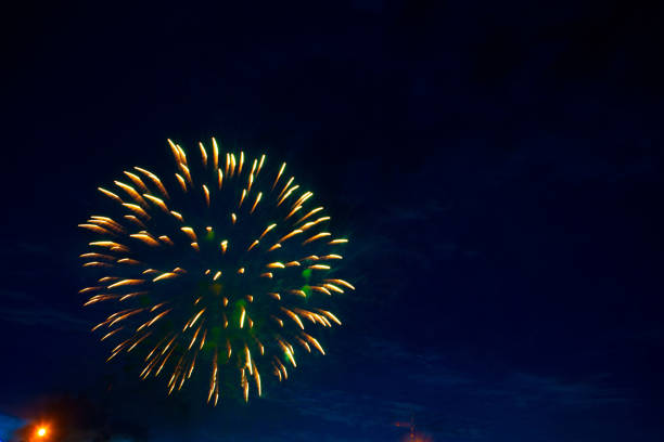 istock 4th July fireworks. Fireworks display on dark sky background 1250998342